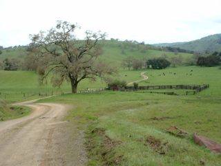 john muir walk