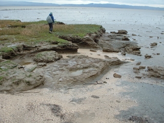 John Muir Walk